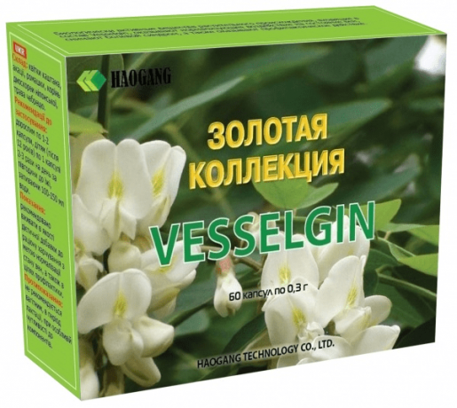 Vesselgin/Веселгин комплекс для вен и сосудов (60 шт по 300мг) 